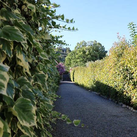 La Villa Des Moulins 卡勒维松 外观 照片